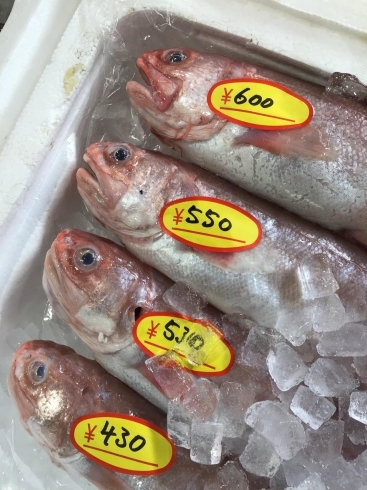 「魚魚市場鮮魚コーナーおすすめは「真サバ」です♪」