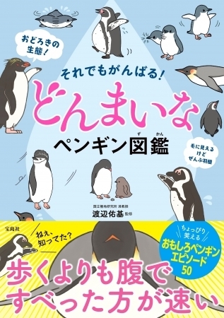 それでもがんばる どんまいなペンギン図鑑 一生懸命生きているのにどこか惜しい 笑 おすすめ新刊本 雑誌特集 まいぷれ 大阪市中央区
