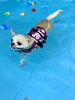 米ちゃん　すーいすい🦭「ましゅまろプール DAY🐳」