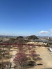 春を先取り！心癒す梅景観「食べるたびに身体も心も軽やかに整う！」