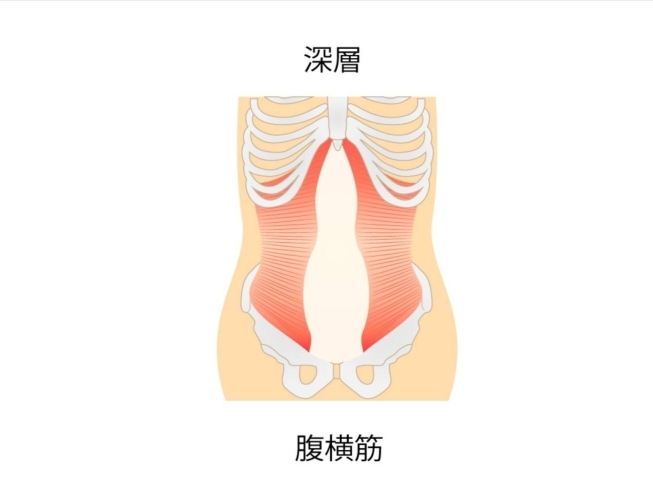 下腹部は筋トレと股関節の柔軟さが大切です。「ポッコリお腹には股関節の柔軟性がポイント【女性専用24J時間ジム】」