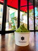 「お茶＆ジェラート「カフェSouemon」佐原さんとワクワク打合せ！老舗茶屋が手掛ける極上抹茶スイーツ＆ラテの魅力をお届け♪」