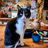 momo「Good morning Otaru」