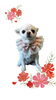 「Dog salon mofu mofu　余市町」