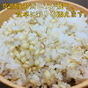 「🌾九州産　黄金のもち麦🌾」