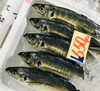 「魚魚市場鮮魚コーナーおすすめは「水イカ・サバ・あじ」です♪」