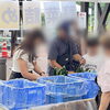 「7/26『市場の日』イベントご参加ありがとうございました！」