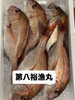 鯛「10時から岩牡蠣販売致します」