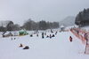 「本日（1/24）のゲレンデ写真です。」