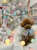 コタくん「MerryXmas🎄」