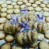 「ココナッツクッキー」サクサク感で口の中で踊り、飽きの来ない味わい！！「【枚方市牧野のケーキ店】誕生日・記念日のデコレーションケーキ＆手土産に喜ばれるギフト菓子｜ふらんす菓子 まーだだよー82」