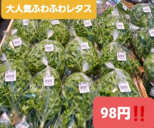 ヤミツキふわふわ食感⭐やめられない美味しさ‼️「産地直送‼️あまーい⭐みかん⭐入荷しております‼️大府市/野菜直売」