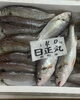 「ホームページはこちら🔗iwafunegyokou.com」