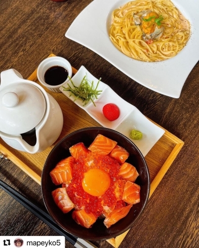 炙りサーモン丼✨ | Cafe＆Bar UMIラボのニュース | まいぷれ[千葉市 