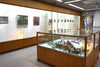 「佐伯記念館・郷土資料館で「周桑教友会展」が開催中！」