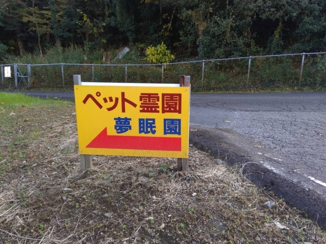 国道看板から登った先にも小さい看板もご案内します「国道11号線看板」