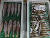 「📣本日入荷のお魚情報🐟」