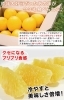 「🍊産地直送🍊柑橘名人 清家素直さんの 『プレミアム河内晩柑』」