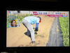 雨がそろそろ欲しいです☂️「☆カラフル野菜の小山農園『ひるおび』無事にオンエア📺☆」