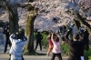 自分にあった運動や体操を見つけてください。特に「ラジオ体操」はおススメです。「 「頑張る運動」から「整える運動」へ…。今日は50代からの運動のあり方についてお話させて頂きます。 」