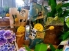 観葉植物「6/20(日)は父の日✨」