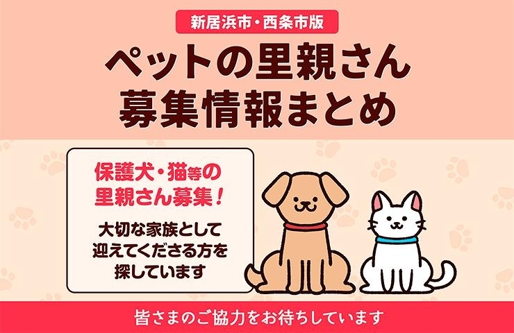 新居浜市・西条市版】ペットの里親さん募集情報まとめ | 新居浜・西条お役立ち情報館| まいぷれ[新居浜市]