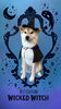 「Dog salon mofu mofu　余市町」