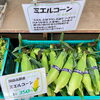 「本日限り『蒸しとうもろこし祭り』開催中！道の駅木曽福島」