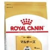 RC BHN マルチーズ　成犬~高齢犬　1.5kg