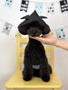 ローズくん「わんこと鯉のぼり🎏」