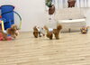 追いかけっこ中〜「ましゅまろ幼稚園☃️」