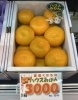 ハウスみかん「🍇今年も大人気！シャインマスカット入荷中🍇　✨新鮮果実 日野屋　ビオルネ枚方地下１階🥝✨」