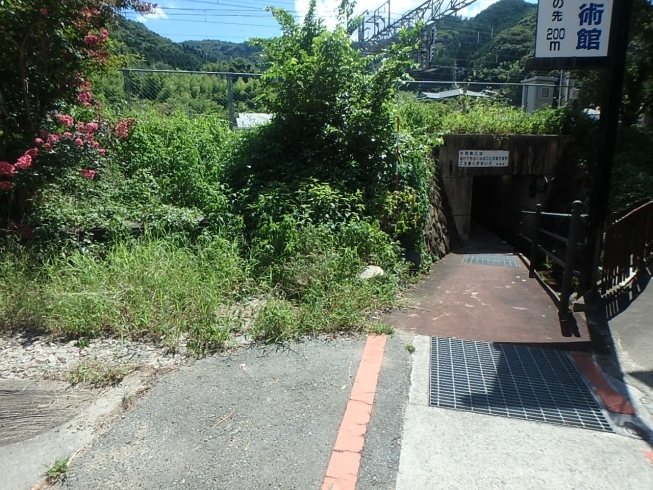 施工前はこんな風景でした「太田谷川スロープ改修工事　施工させていただきました！」