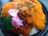 特製チキンタレカツ丼！ボリュームたっぷり！「手作り弁当出来ました！」