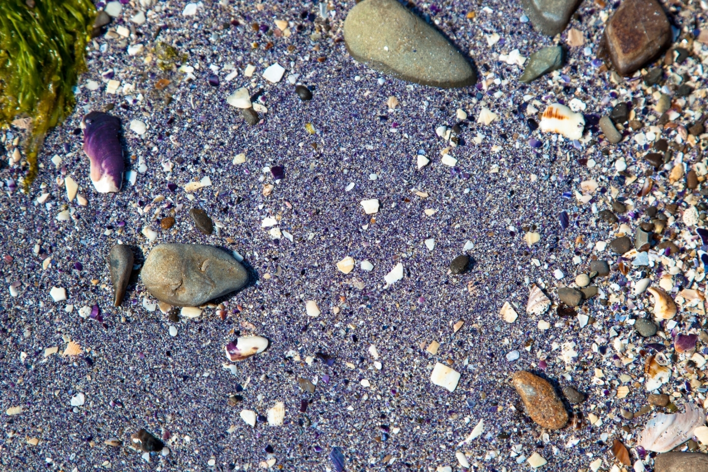 紫色に見えるのはムール貝の貝殻が細かく砂浜に混ざっているため