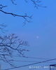 朝行く残月「Good morning Otaru!」