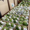 「信州産『スイカ』入荷しました！」
