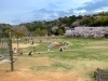 和歌山市 四季の郷公園 22年4月2日リニューアルオープン 和歌山 親子で楽しめる公園特集 和歌山市 海南市 岩出市 まいぷれ 和歌山 市 和歌山市 四季の郷公園 22年4月2日リニューアルオープン 和歌山 親子で楽しめる公園特集 和歌山市 海南市 岩出市 まいぷれ 和歌山 市