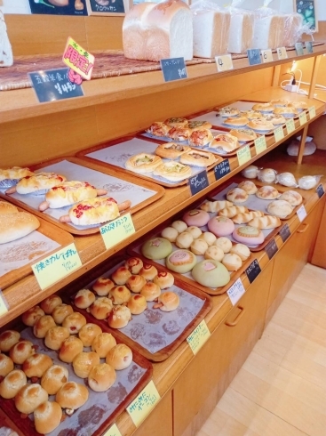 富士市藤岡のパン屋さん パン工房ハイホー まいぷれ富士 沼津編集部のニュース まいぷれ 富士 沼津 富士市藤岡のパン屋さん パン工房ハイホー まいぷれ富士 沼津編集部のニュース まいぷれ 富士 沼津