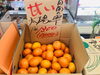 「冬の栄養不足にはみかんを食べましょう！【お肉・野菜・果物は清武町の黒木商店で♪】」