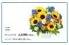 ６月の誕生花 ユリ 父の日は6月日 日 花キューピットでお花じかん まいぷれ 黒部 入善 朝日