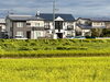 手前の田んぼはなんともない「稲刈りを前に、会津の田んぼから🌾」