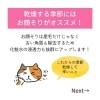 「今年のうぶ毛＆古い角質は今年のうちに猫丸でサヨナラ(=^ェ^=) 整体・オイル・リーディング・占い・顔そり・氣功」