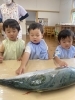 「八女市で保育園をお探しの保護者様へ　魚」