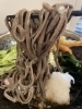 「蕎麦殻まで使った七割田舎蕎麦とぶっかけえび天蕎麦のご案内」
