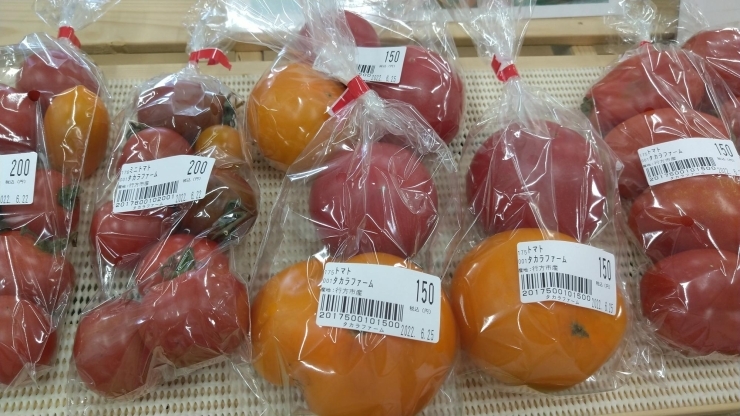 種類いろいろトマト「こんにちは！」
