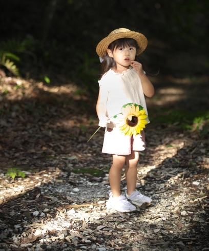 「Dコース【なつのじかん】写真展」