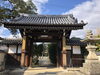 「西条市氷見『吉祥寺』の銀杏の葉の黄色い絨毯がキレイです。」