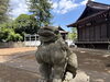 笑う狛犬1「《杉並区あるある検証 No.3》杉並区の神社に「笑顔の狛犬」がいるというのは？？？」