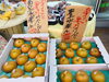 「豊水梨が入荷しています！【お肉・野菜・果物は清武町の黒木商店で♪】」